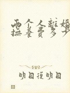 两个人离婚孩子抚养费多少钱啊