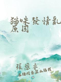 猫咪发情乱尿的原因