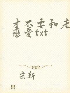 才不要和老板谈恋爱txt