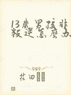 13岁男孩非常叛逆怎么办