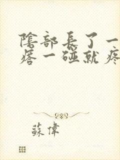 阴部长了一个疙瘩一碰就疼