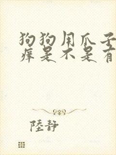 狗狗用爪子挠痒痒是不是有虫子