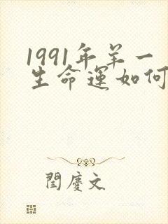 1991年羊一生命运如何