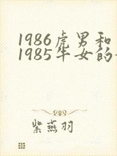 1986虎男和1985牛女的婚姻如何