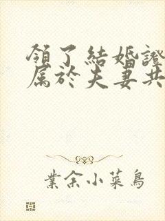 领了结婚证彩礼属于夫妻共同财产吗