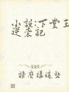 小说:下堂王妃逆袭记