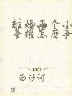 离婚两个小孩抚养权怎么争取