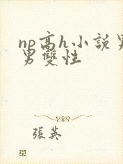 np高h小说男男双性