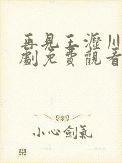 再见王沥川电视剧免费观看全集