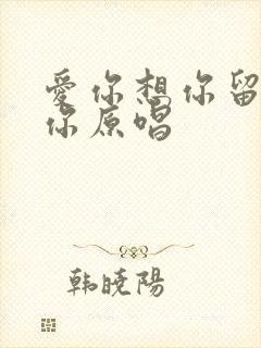 爱你想你留不住你原唱