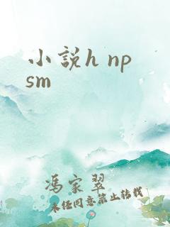 小说h np sm
