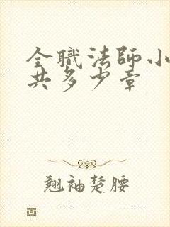 全职法师小说一共多少章