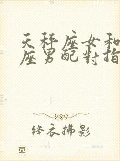 天秤座女和摩羯座男配对指数是多少