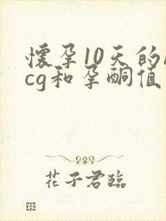 怀孕10天的hcg和孕酮值