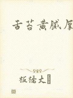 舌苔黄腻厚是引