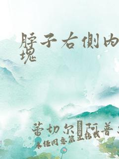 脖子右侧内有肿块