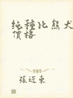 纯种比熊犬一只价格