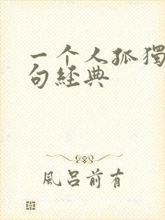 一个人孤独的诗句经典