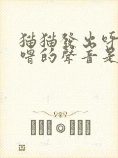 猫猫发出呼噜呼噜的声音是什么