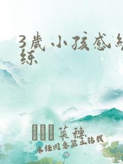 3岁小孩感统训练