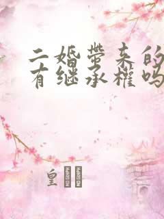 二婚带来的孩子有继承权吗