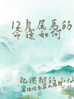 12月属马的人命运如何