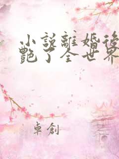 小说离婚后她惊艳了全世界