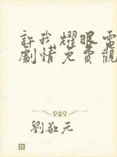 许我耀眼电视剧剧情免费观看全集