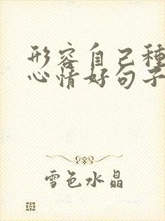 形容自己种花的心情好句子