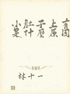 小肚子上有赘肉是什么原因