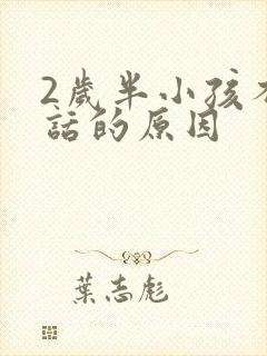 2岁半小孩不说话的原因