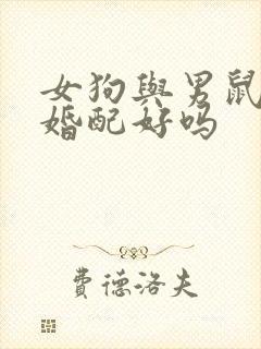 女狗与男鼠属相婚配好吗