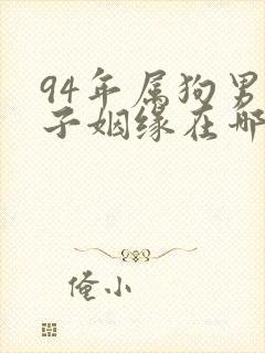 94年属狗男孩子姻缘在哪一年
