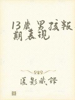 13岁男孩叛逆期表现