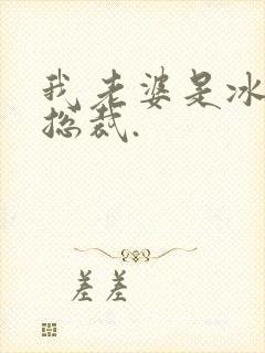 我老婆是冰山女总裁.
