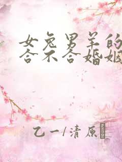 女兔男羊的属相合不合婚姻