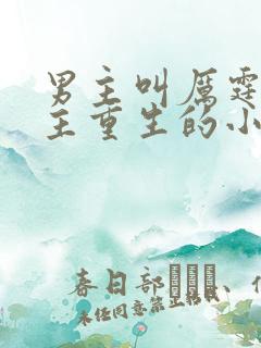 男主叫厉霆骁女主重生的小说