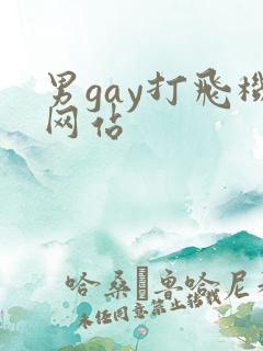 男gay打飞机网站