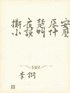 撕夜楚辰安原著小说叫什么