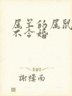 属羊的属鼠的合不合婚