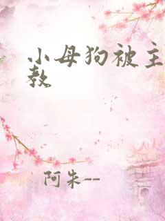 小母狗被主人调教