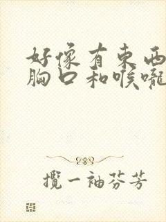 好像有东西堵在胸口和喉咙