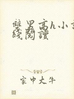 双男高h小说在线阅读