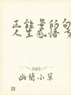 正能量的句子 人生感悟 努力工作短句