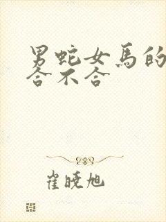 男蛇女马的属相合不合