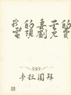 我的妻子的姐姐电视剧免费观看全集下载