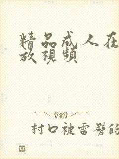 精品成人在线播放视频