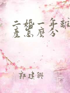 二婚一年离婚财产怎么分