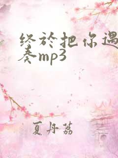 终于把你遇见伴奏mp3