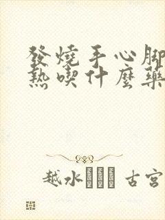 发烧手心脚心发热吃什么药